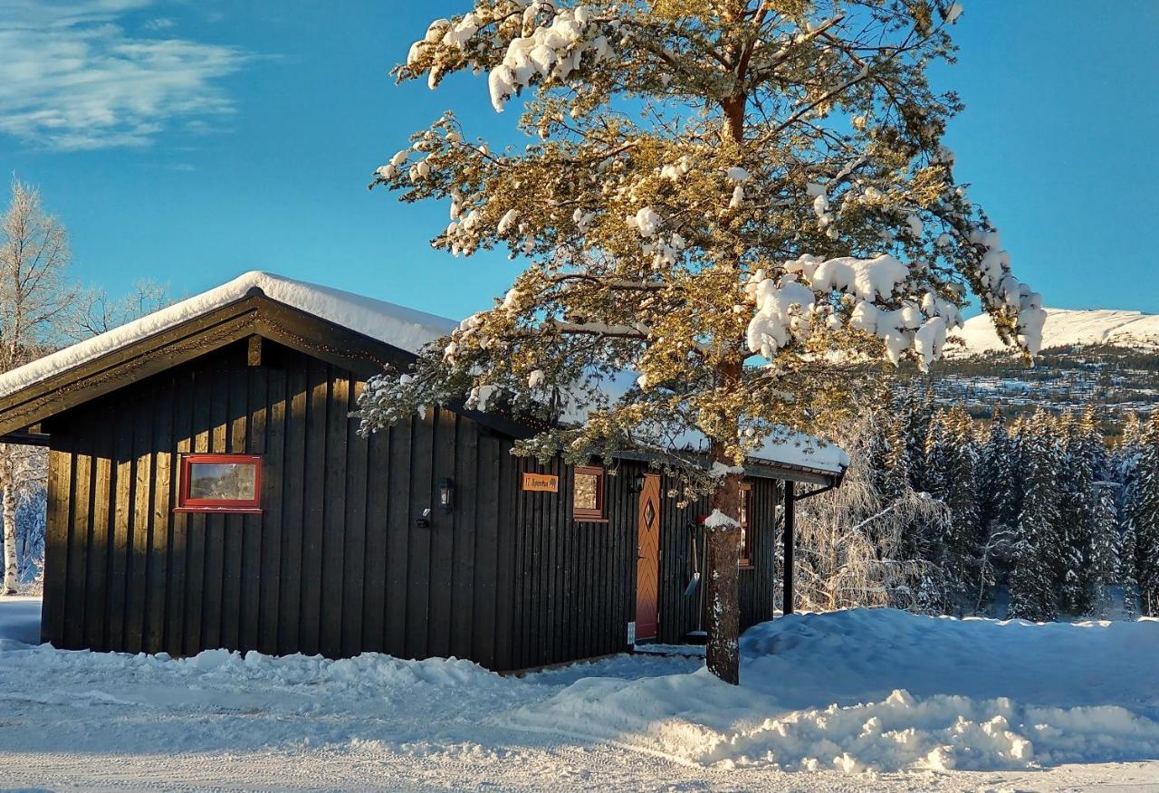 Trysil Hyttegrend Ngoại thất bức ảnh