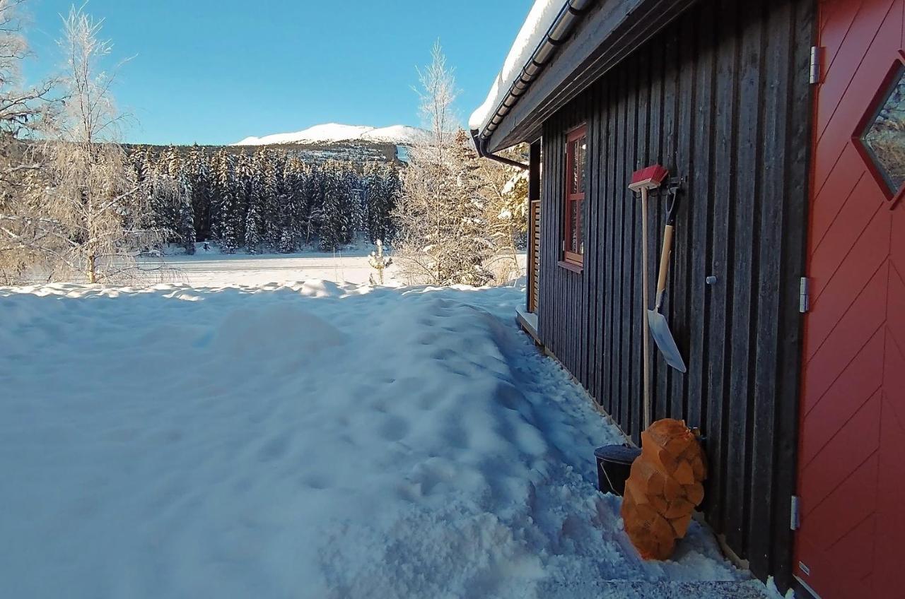 Trysil Hyttegrend Ngoại thất bức ảnh