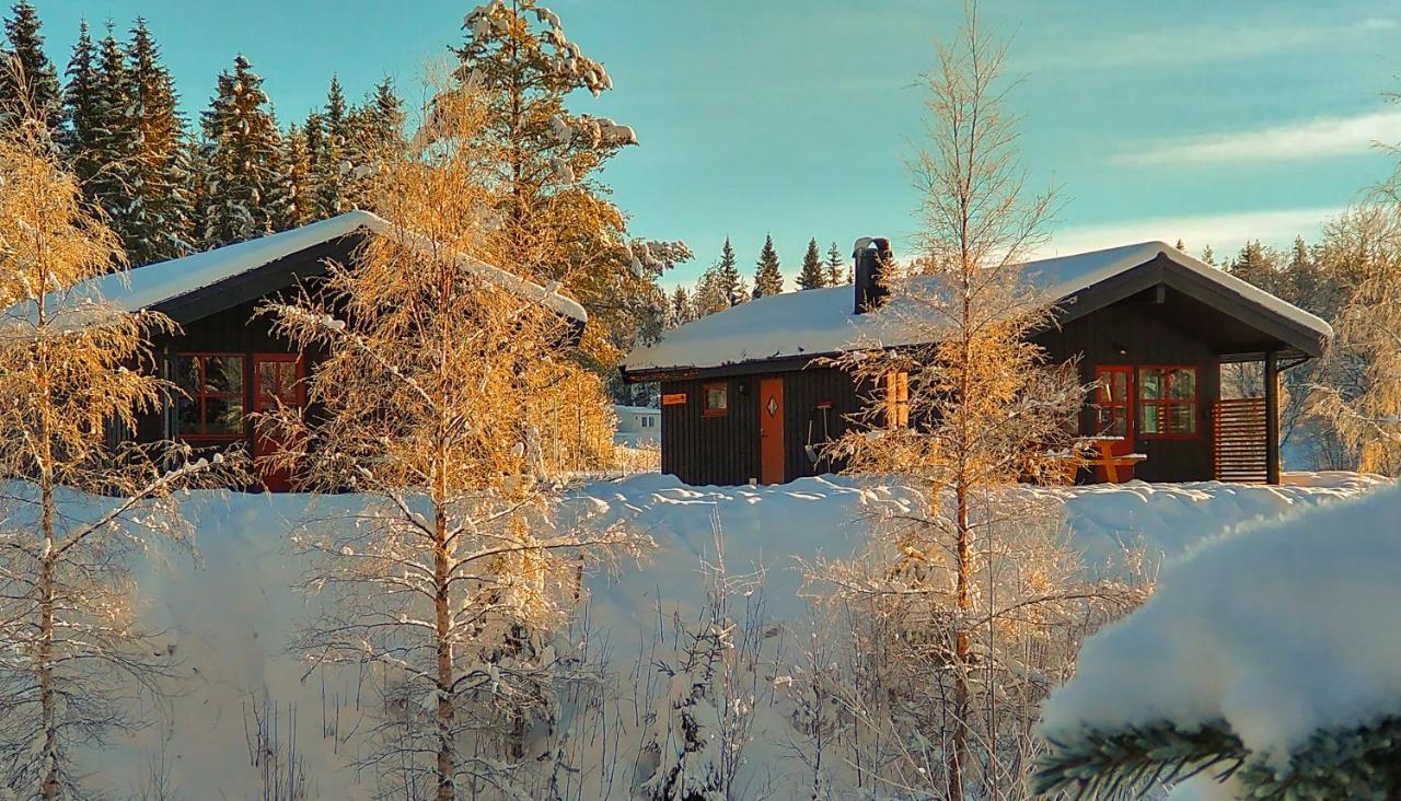 Trysil Hyttegrend Ngoại thất bức ảnh