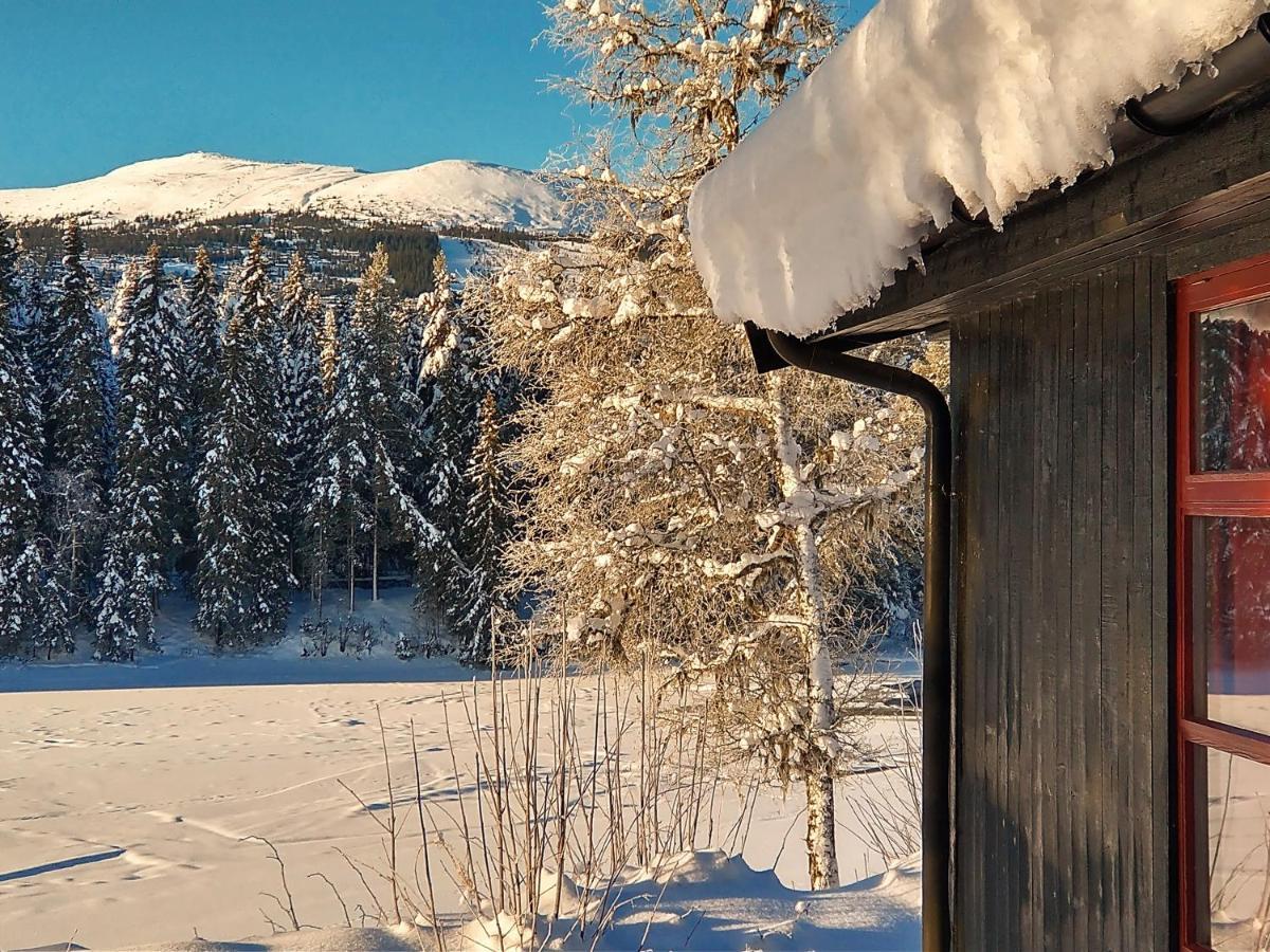 Trysil Hyttegrend Ngoại thất bức ảnh