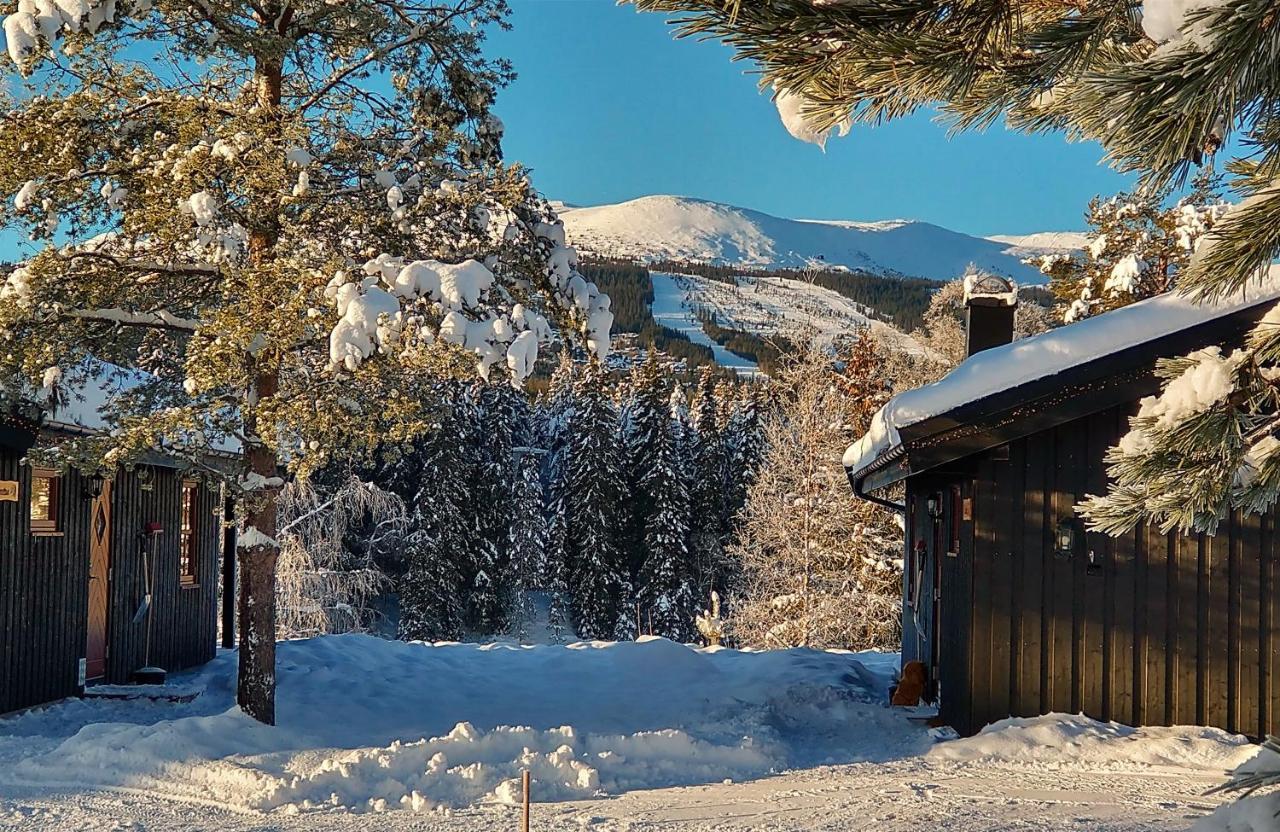 Trysil Hyttegrend Ngoại thất bức ảnh