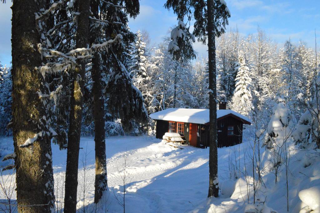 Trysil Hyttegrend Ngoại thất bức ảnh